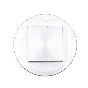 क्रायोस्टेट नमूना डिस्क