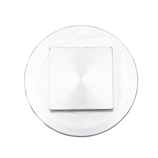 क्रायोस्टेट नमूना डिस्क