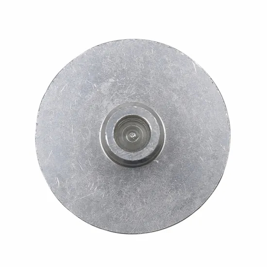 क्रायोस्टेट नमूना डिस्क